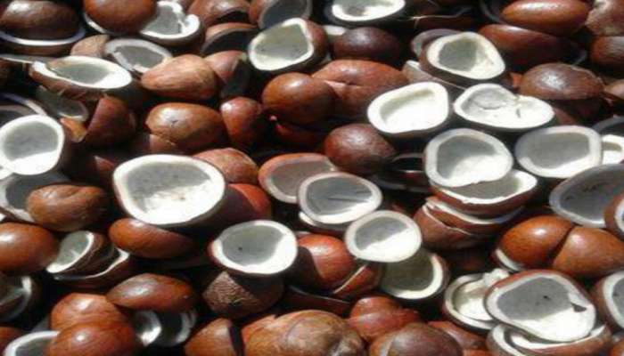 Dry Coconut : ಬಂಜೆತನ ನಿವಾರಣೆಗೆ ಒಣ ಕೊಬ್ಬರಿ ಸಹಾಯಕ..!