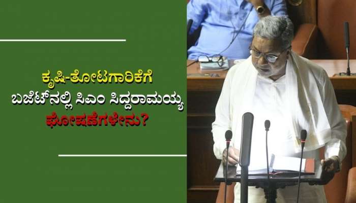 Karnataka Budget: ಸಿಎಂ ಸಿದ್ದರಾಮಯ್ಯ ಬಜೆಟ್‌ನಲ್ಲಿ ಕೃಷಿ-ತೋಟಗಾರಿಕೆಗೆ ನೀಡಿದ್ದೇನು? 