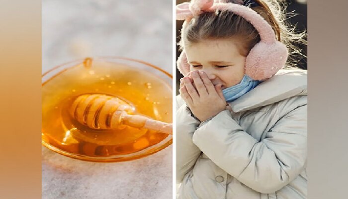 Health Benefits of Honey: ಜೇನುತುಪ್ಪದ ಅದ್ಭುತ ಆರೋಗ್ಯ ಪ್ರಯೋಜನಗಳು