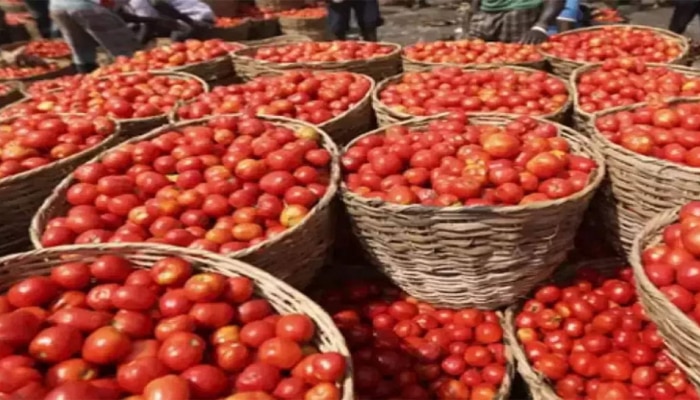 Tomato Price Hike: ಈ ರಾಜ್ಯದಲ್ಲಿ 250 ರೂ. ದಾಟಿದ ಟೊಮೇಟೊ ದರ..! title=