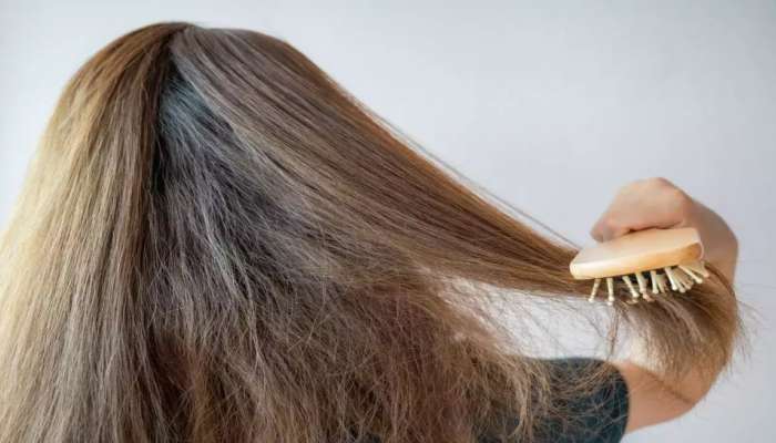 Frizzy Hair Solution: ಈ ಒಂದು ವಸ್ತುವನ್ನು ಕೂದಲಿಗೆ ಹಚ್ಚಿದರೆ ಕೂದಲು ಸೂಪರ್ ಸಿಲ್ಕಿಯಾಗುತ್ತದೆ  !