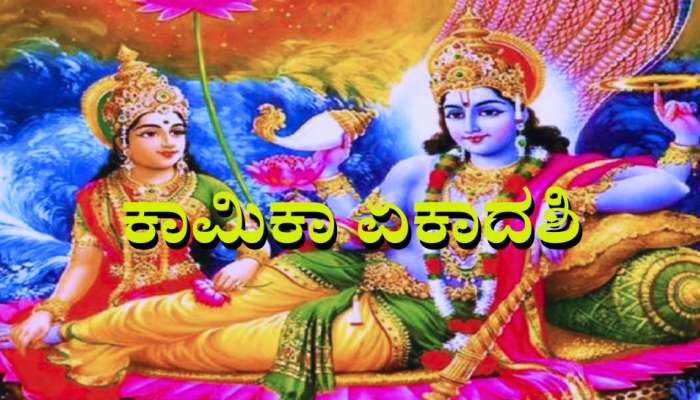 ಕಾಮಿಕಾ ಏಕಾದಶಿಯಂದು ಈ ವಸ್ತುಗಳನ್ನು ದಾನ ಮಾಡಿದರೆ ಎಂದಿಗೂ ಇರಲ್ಲ ಹಣದ ಕೊರತೆ  title=