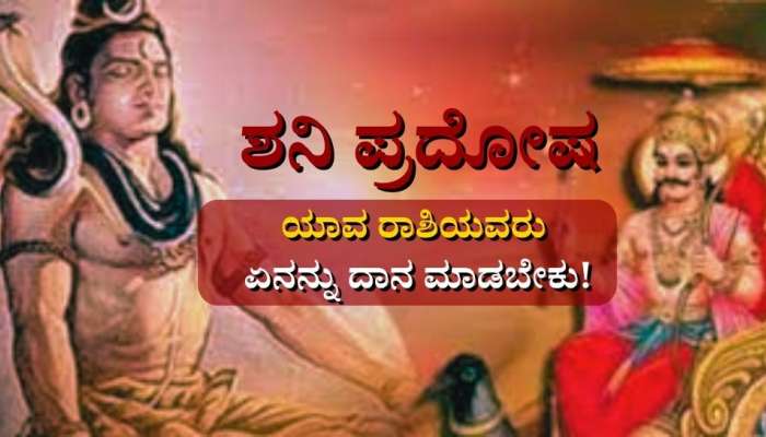 Pradosh Vrat: ನಾಳೆ ಶನಿ ಪ್ರದೋಷದ ದಿನ ನಿಮ್ಮ ರಾಶಿಗನುಗುಣವಾಗಿ ಇವುಗಳನ್ನು ದಾನ ಮಾಡಿದರೆ ಅಪಾರ ಸಂಪತ್ತು ಪ್ರಾಪ್ತಿ 