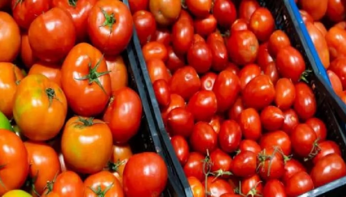 Tomato price rise: ಕೆಜಿಗೆ 80 ರೂ.ನಂತೆ ಟೊಮೇಟೊ ಮಾರಾಟ ಮಾಡಲು ಕೇಂದ್ರದ ನಿರ್ಧಾರ title=