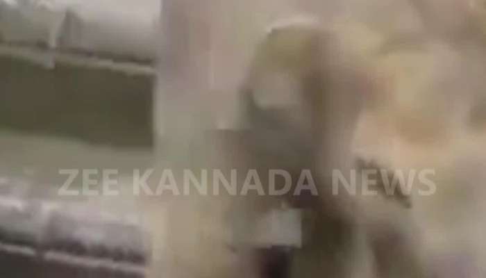  baby elephant testing dept of water viral video 