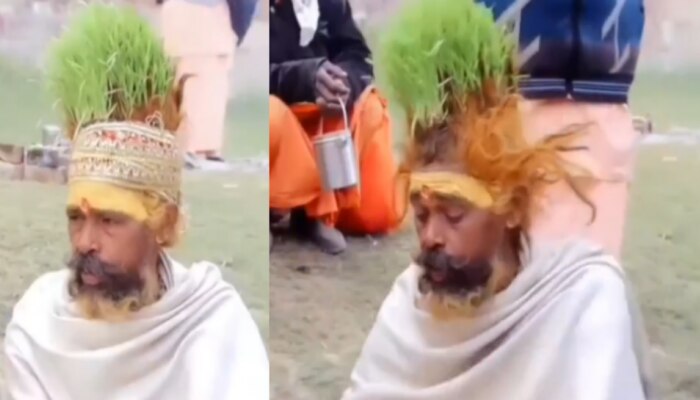 Viral Video: ಈ ಬಾಬಾ ತಲೆ ಮೇಲೆ ಬೆಳೆಯೋದು ಕೂದಲಲ್ಲ, ಗಿಡಗಳು..!  