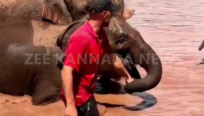 elephant protection to man viral video
