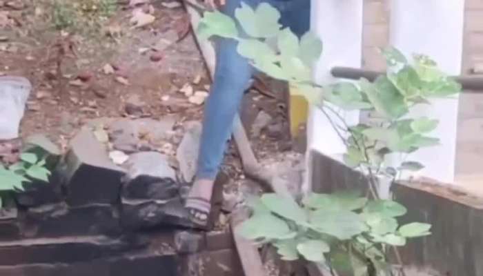 Woman catch two snakes in bare hands watch viral video 