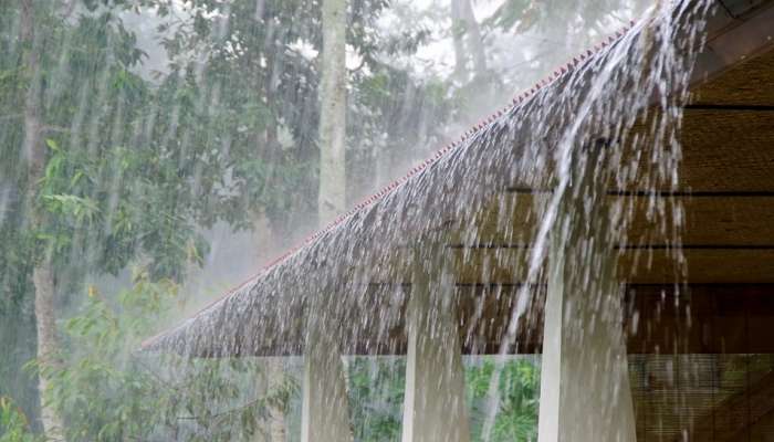 Rain Alert: ಮುಂದಿನ 5 ದಿನ ಈ ಪ್ರದೇಶದಲ್ಲಿ ಎಡೆಬಿಡದೆ ಸುರಿಯಲಿದೆ ಮಳೆ! ಗುಡುಗು-ಮಿಂಚು ಸಹಿತ ಬಿರುಗಾಳಿಯ ಮುನ್ಸೂಚನೆ