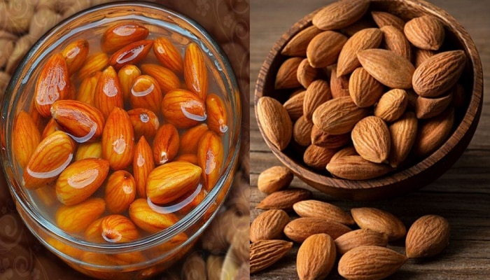 Health Benefits of Almonds: ಬಾದಾಮಿಯ ಅದ್ಭುತ ಆರೋಗ್ಯ ಪ್ರಯೋಜನಗಳು