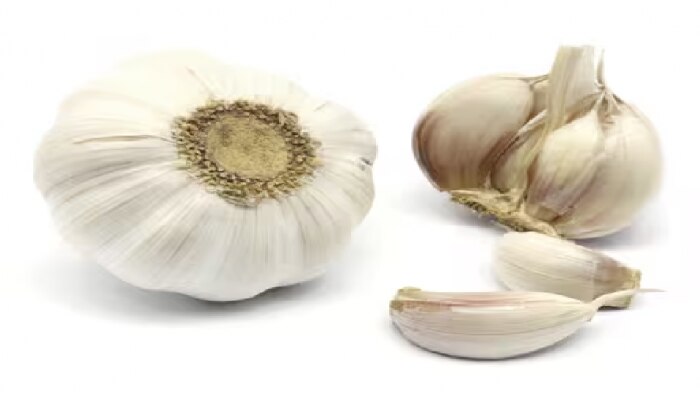 Health Benefits of Garlic: ಹಲವಾರು ಕಾಯಿಲೆಗಳಿಗೆ ಬೆಳ್ಳುಳ್ಳಿ ರಾಮಬಾಣ!