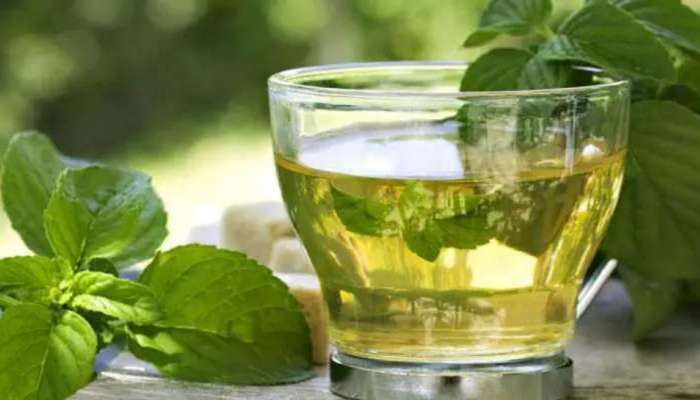 Green Tea: ಈ ಜನರು ತಪ್ಪಿಯೂ ಗ್ರೀನ್ ಟೀ ಕುಡಿಯಬಾರದು  title=