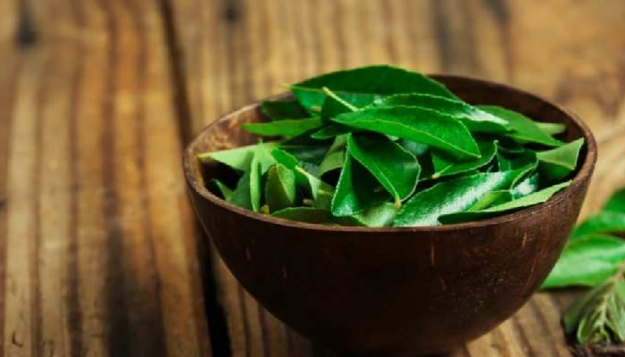 Curry Leaves Benefits: ಖಾಲಿ ಹೊಟ್ಟೆಯಲ್ಲಿ ಕರಿಬೇವಿನ ಸೇವಿಸಿದ್ರೆ ಇಷ್ಟೆಲ್ಲಾ ಪ್ರಯೋಜನಗಳಿವೆ