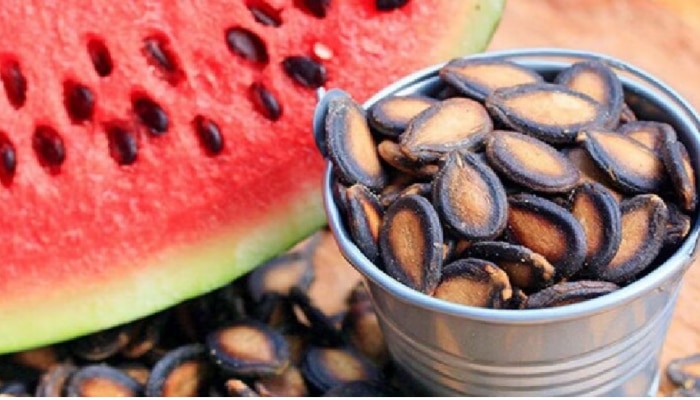 Watermelon Seed Benefits: ಕಲ್ಲಂಗಡಿ ಬೀಜಗಳಲ್ಲಿದೆ ಆರೋಗ್ಯದ ನಿಧಿ  