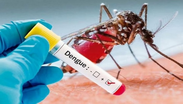 Dengue fever: ಬೆಂಗಳೂರಿನಲ್ಲಿ 6 ಸಾವಿರಕ್ಕೂ ಹೆಚ್ಚು ಡೆಂಗ್ಯೂ ಪ್ರಕರಣ ದೃಢ!   title=
