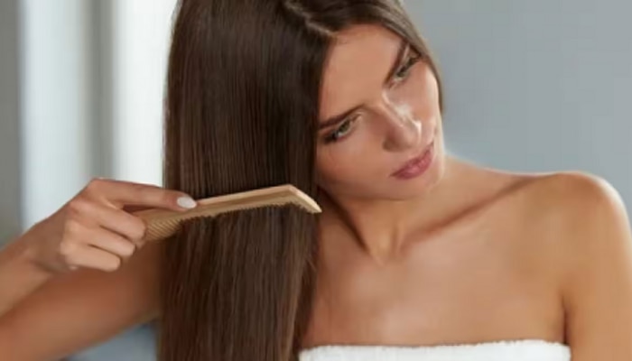 Hair care tips: ನಿಮ್ಮ ಕೂದಲಿನ ಆರೋಗ್ಯಕ್ಕೆ ಈ ಬಾಚಣಿಗೆಯನ್ನು ಬಳಸಿ