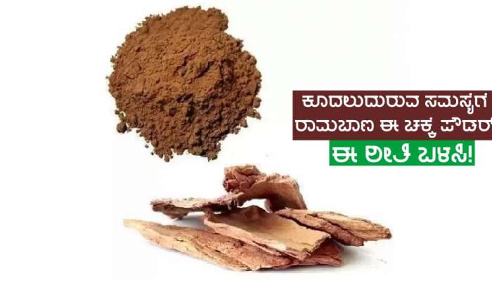 ಕೂದಲುದುರುವ ಸಮಸ್ಯೆಗೆ ಈ ಗಿಡದ ತೊಗಟೆ ಒಂದು ರಾಮಬಾಣ ಉಪಾಯ, ಈ ರೀತಿ ಬಳಸಿ ನೋಡಿ! title=