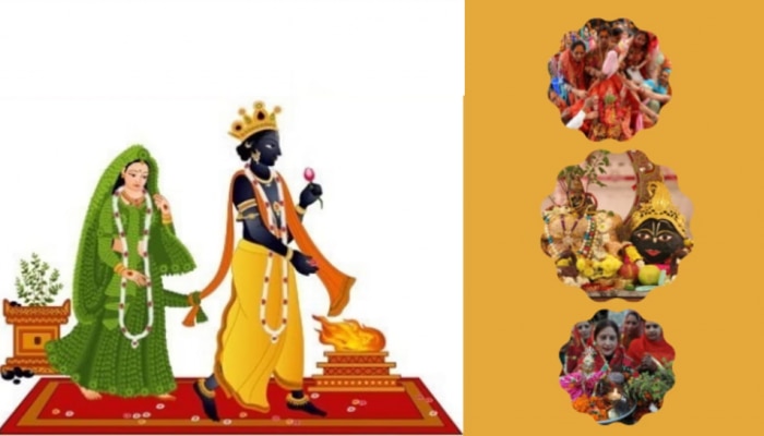 Tulsi Vivah 2023: ತುಳಸಿ ವಿವಾಹ-ಪೂಜೆ; ಪೌರಾಣಿಕ ಹಿನ್ನೆಲೆ ಮತ್ತು ಆಚರಣೆಯ ವಿಧಾನ 