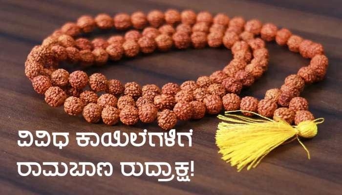 ಹೈಬಿಪಿ ಹಾಗೂ ಹಾರ್ಟ್ ಆಟ್ಯಾಕ್ ಗೆ ರುದ್ರಾಕ್ಷ ರಾಮಬಾಣ, ಒಪ್ಪಿಕೊಂಡ ವಿಜ್ಞಾನ! title=