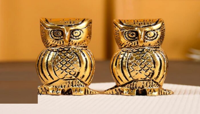 Owl Statue at Home: ಮನೆಯಲ್ಲಿ ಗೂಬೆಯ ವಿಗ್ರಹ ಇಟ್ಟರೆ ಏನಾಗುತ್ತೆ ಗೊತ್ತಾ..?  