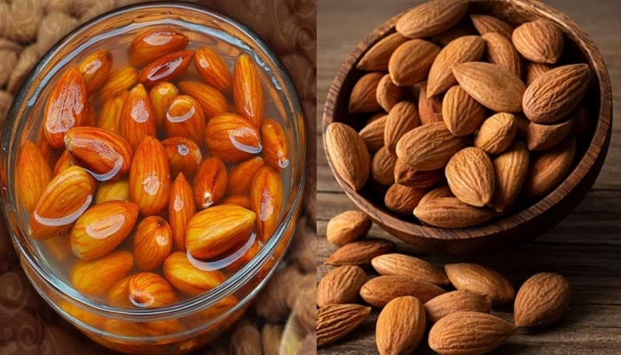 Health Benefits of Almonds: ಹೃದಯದ ಆರೋಗ್ಯಕ್ಕೆ ಪ್ರತಿದಿನ ಬಾದಾಮಿ ಸೇವಿಸಿರಿ  