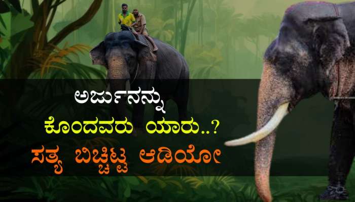 ಅರ್ಜುನ ಆನೆಯ ʼಕೊಲೆಗಾರʼ ಯಾರು..? : ಸತ್ಯಾಂಶ ಬಿಚ್ಚಿಟ್ಟ ʼಆಡಿಯೋ ವೈರಲ್‌ʼ title=