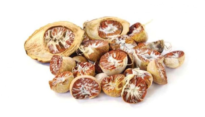 Arecanut Nut Price: ಹೊಸ ವರ್ಷದಂದು ಮತ್ತಷ್ಟು ಏರಿಕೆ ಕಂಡ ಅಡಿಕೆ ಧಾರಣೆ title=