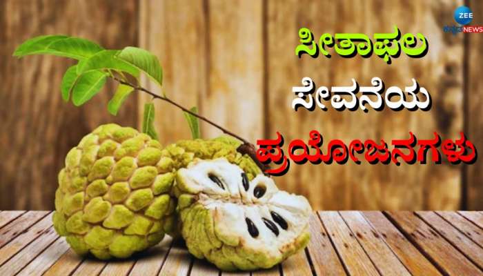 ಕಸ್ಟರ್ಡ್ ಆಪಲ್  ಸೇವನೆಯಿಂದ ಆರೋಗ್ಯಕ್ಕಿದೆ ಇಷ್ಟೆಲ್ಲಾ ಪ್ರಯೋಜನ  title=