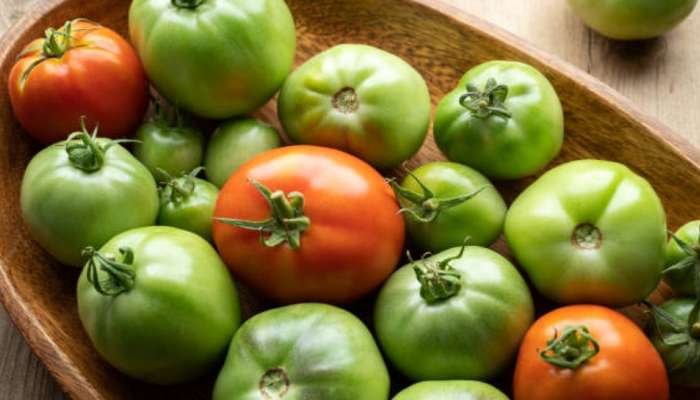Tomato: ಕೆಂಪಲ್ಲ.. ಹಸಿರು ಟೊಮೆಟೊದಿಂದ ದೇಹಕ್ಕಿದೆ ಹಲವಾರು ಪ್ರಯೋಜನ!  title=
