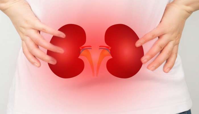 oil for healthy kidney : ಕಿಡ್ನಿ ಆರೋಗ್ಯವಾಗಿರಬೇಕಾದರೆ ಈ ಎಣ್ಣೆಯನ್ನೇ ಬಳಸಬೇಕು ! title=