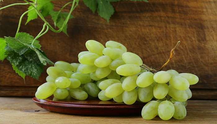 Green grapes health benefits: ಹಸಿರು ದ್ರಾಕ್ಷಿ.. ತೂಕ ಇಳಿಕೆ ಮಾತ್ರವಲ್ಲ ಈ ಕಾಯಿಲೆಗೂ ಇದು ರಾಮಬಾಣ! 