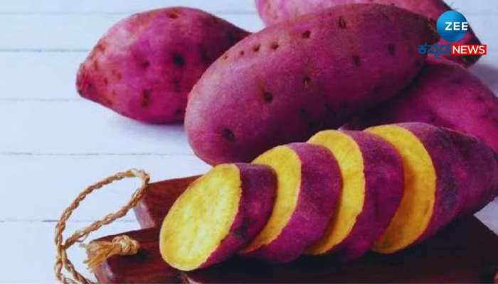 Sweet Potato: ಆರೋಗ್ಯದ ನಿಧಿ ಸಿಹಿಗೆಣಸು ತಿನ್ನುವುದರಿಂದ ಸಿಗುತ್ತೆ ಇಷ್ಟೆಲ್ಲಾ ಪ್ರಯೋಜನ 