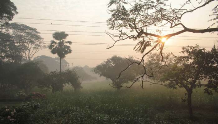 Karnataka Weather: ರಾಜ್ಯದಲ್ಲಿ ಜನವರಿ ತಿಂಗಳು ಅಂತ್ಯವಾಗುತ್ತಿದ್ದಂತೆ ಚಳಿ ಕಡಿಮೆಯಾಗಿ ಉಷ್ಣಾಂಶ ಹೆಚ್ಚಾಗಲಿದೆ! title=