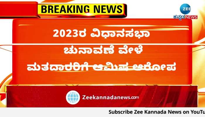 Accused of luring voters during 2023 assembly elections: Nikhil Kumaraswamy moved to High Court