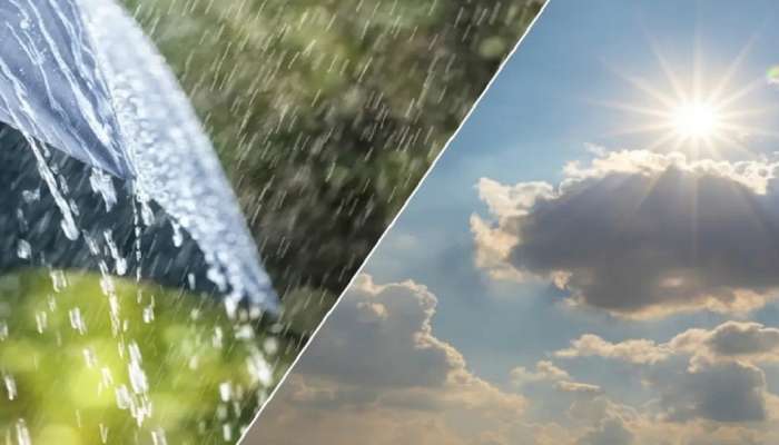 Rain Alert: ಮತ್ತೆ ಮಳೆಯ ಮುನ್ಸೂಚನೆ... ಬಿಸಿಲು, ಚಳಿಯ ಮಧ್ಯೆ ಈ ಪ್ರದೇಶಗಳಲ್ಲಿ ಸುರಿಯಲಿದೆ ವರ್ಷಧಾರೆ! 