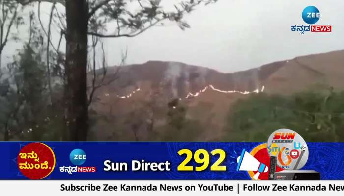 Forest fire in Chikkamagalur: Kola forest destroyed