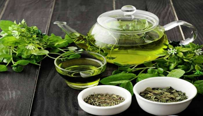 Green tea Benefits :ಗ್ರೀನ್ ಟೀ ಆರೋಗ್ಯ ಪ್ರಯೋಜನ ಸಿಗಬೇಕಾದರೆ ಈ ಹೊತ್ತಿನಲ್ಲಿಯೇ ಸೇವಿಸಬೇಕು! ತಪ್ಪಿದರೆ ಇದರ ಲಾಭ ಶೂನ್ಯ 