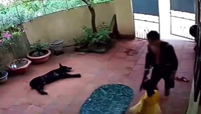 Shocking Video: ಬಾಲಕಿಯನ್ನು ಕಿಡ್ನಾಪ್ ಮಾಡಲು ಬಂದ ವ್ಯಕ್ತಿಗೆ ಪಾಠ ಕಲಿಸಿದ ನಾಯಿ... ವಿಡಿಯೋ ನೋಡಿ!