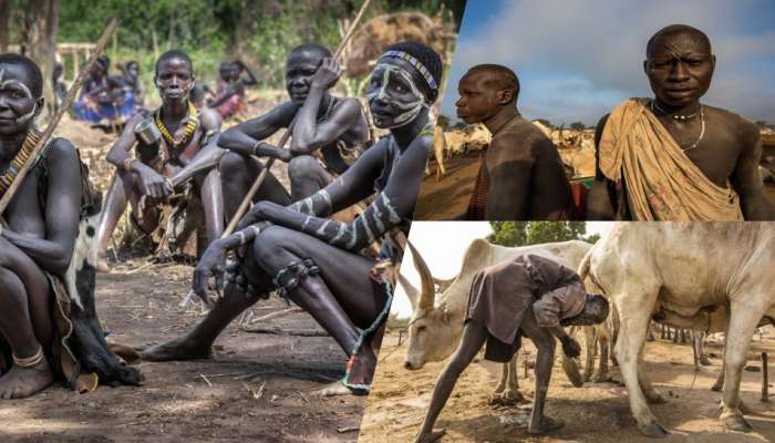 African Tribe: ಆಫ್ರೀಕಾದ ಬುಡಕಟ್ಟು ಜನಾಂಗವೊಂದು ಸ್ನಾನಕ್ಕೆ ಗೋಮೂತ್ರ ಹಾಗೂ ಸಗಣಿಯನ್ನು ಸನ್‌ಸ್ಕ್ರೀನ್ ರೂಪದಲ್ಲಿ ಬಳಸುತ್ತಾರೆ!! title=