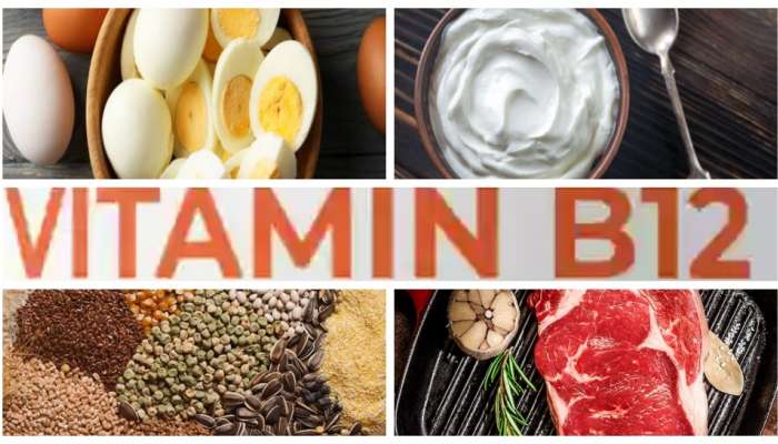 Vitamin B12 Foods: ವಿಟಮಿನ್‌ ಬಿ 12 ಕೊರತೆಯೇ? ನೈಸರ್ಗಿಕವಾಗಿ ಈ ಖನಿಜವನ್ನು ಪಡೆಯಲು ಸೇವಿಸಬೇಕಾದ ಆಹಾರಗಳು!