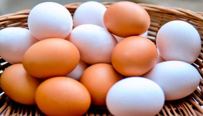 Egg Price in Karnataka: ಕೋಳಿ ಮೊಟ್ಟೆಗೂ ತಟ್ಟಿದೆ ಬಿಸಿಲ ತಾಪ !   title=