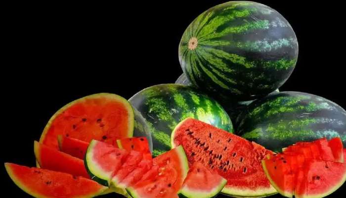 Watermelon: ಕಲ್ಲಂಗಡಿಯನ್ನು ಮೊದಲು ಎಲ್ಲಿ ಬೆಳೆಯಲಾಯಿತು? ಈ Summer Superfruit ಭಾರತವನ್ನು ತಲುಪಿದ್ದು ಹೇಗೆ? title=