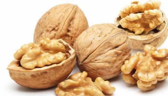 Health Benefits of Walnuts: ಪ್ರತಿದಿನ ವಾಲ್‌ನಟ್ಸ್ ಸೇವಿಸಿದ್ರೆ ಏನಾಗುತ್ತೆ ಗೊತ್ತಾ..?