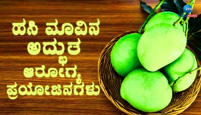 Raw Mango Benefits: ಜೀರ್ಣಕ್ರಿಯೆಯಿಂದ ತೂಕನಷ್ಟದವರೆಗೆ ತುಂಬಾ ಪ್ರಯೋಜನಕಾರಿ ಮಾವಿನ ಕಾಯಿ 