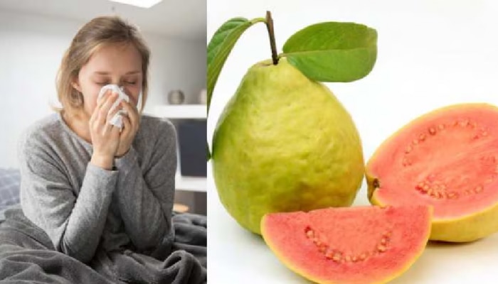 Guava Side Effects: ಈ ಸಮಸ್ಯೆ ಇರುವವರು ಅಪ್ಪಿತಪ್ಪಿಯೂ ಪೇರಳೆ ಹಣ್ಣು ಸೇವಿಸಬಾರದು