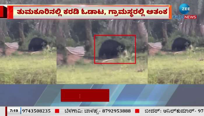 Two Bears found in tumkur giriyammanapalya 