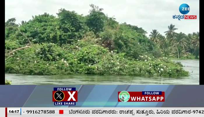 Bird sanctuary in danger due to floods