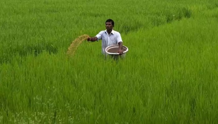 ಬೆಳೆ ಸಮೀಕ್ಷೆ’ ರೈತರಿಗೆ ಒಂದು ಸುವರ್ಣಾವಕಾಶ