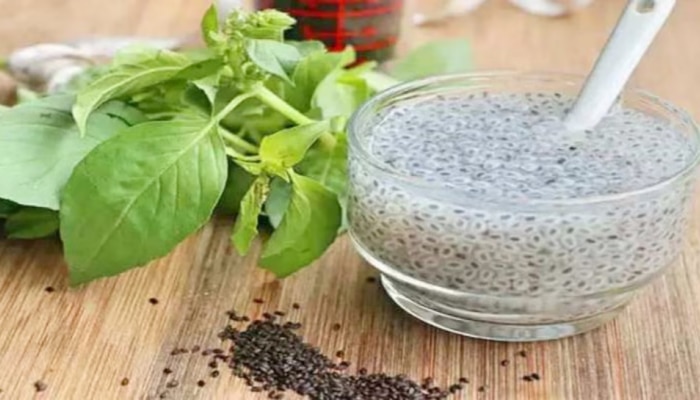 Basil seeds benefits: ಕಾಮಕಸ್ತೂರಿ ಬೀಜಗಳ ಸೇವನೆಯಿಂದ ಇಷ್ಟೊಂದು ಆರೋಗ್ಯ ಲಾಭಗಳಿವೆ