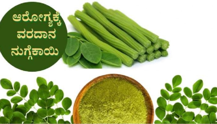 Drumstick leaves: ನುಗ್ಗೆ ಸೊಪ್ಪಿನ ಅದ್ಭುತ ಆರೋಗ್ಯ ಪ್ರಯೋಜನಗಳು